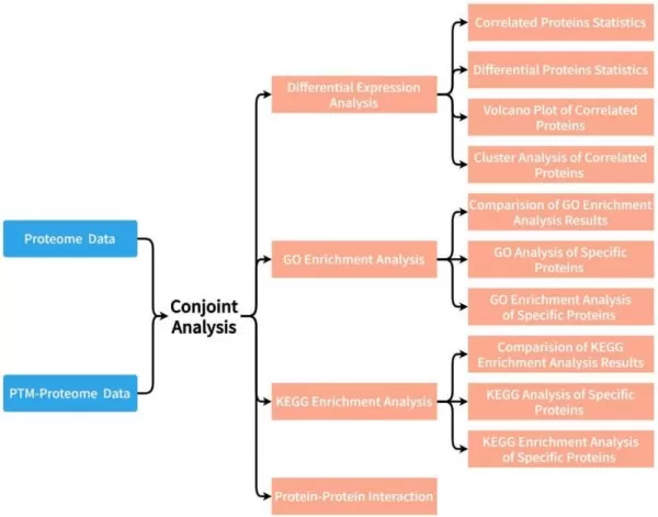 figure 1. Combined Analysis Approach